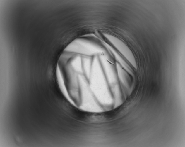 X0000096160270200802151421