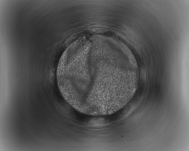 X0000096160271200802151421