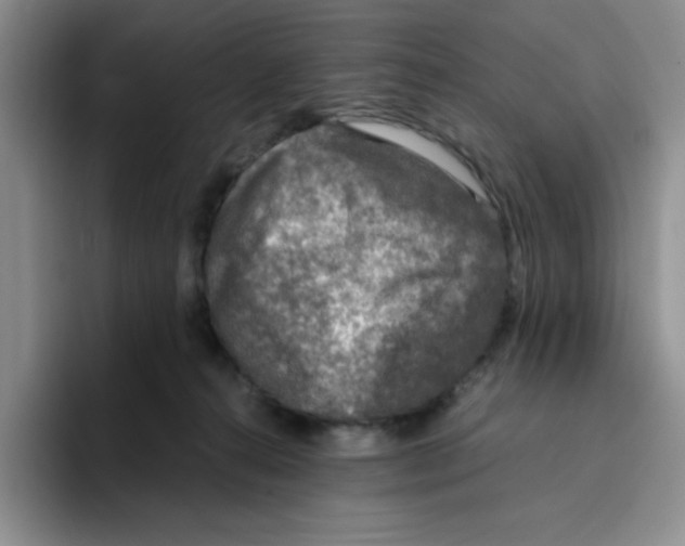 X0000096160272200802151421