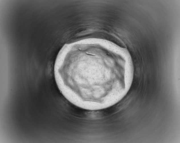 X0000096160273200802151421