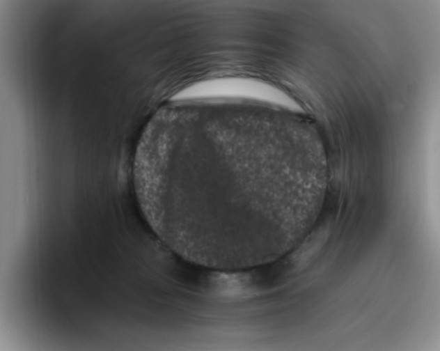 X0000096160277200802151421