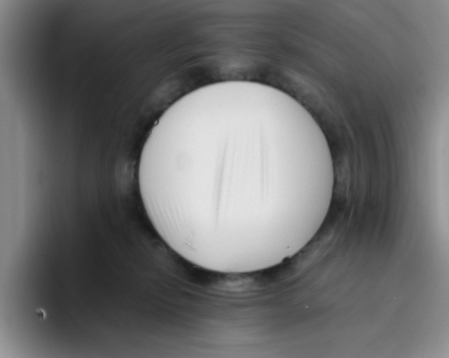 X0000096160278200802151421