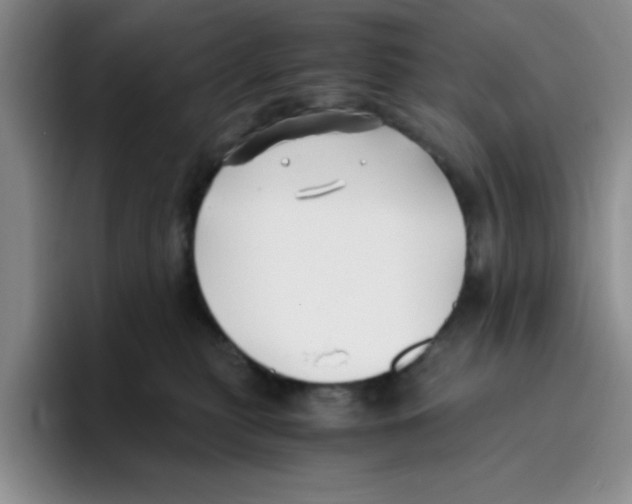 X0000096160279200802151421