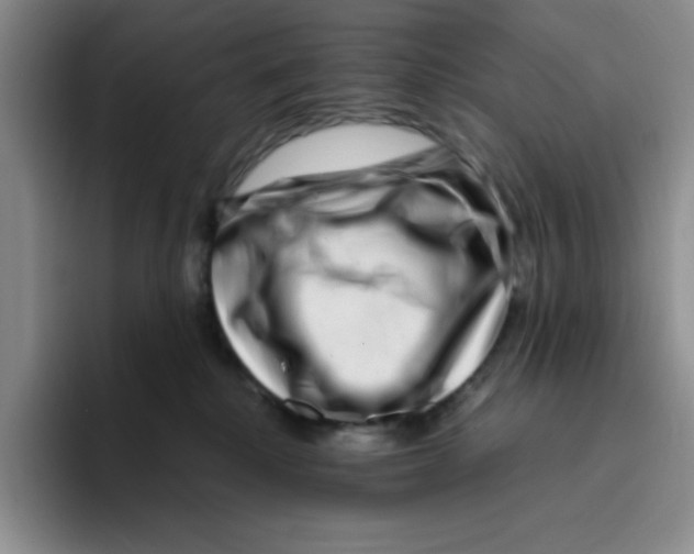 X0000096160280200802151421