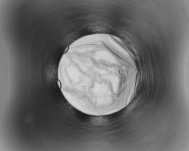 X0000096160281200802151421