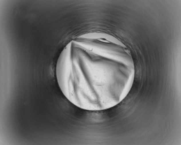 X0000096160282200802151421