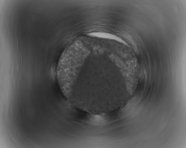 X0000096160285200802151421