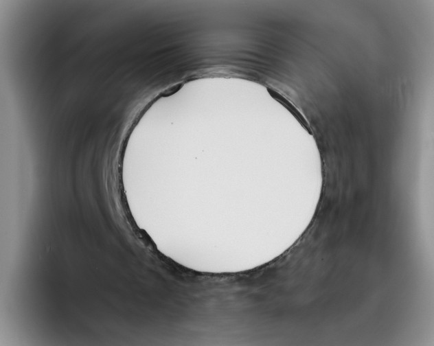 X0000096160289200802151420