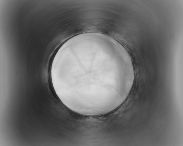 X0000096160290200802151420