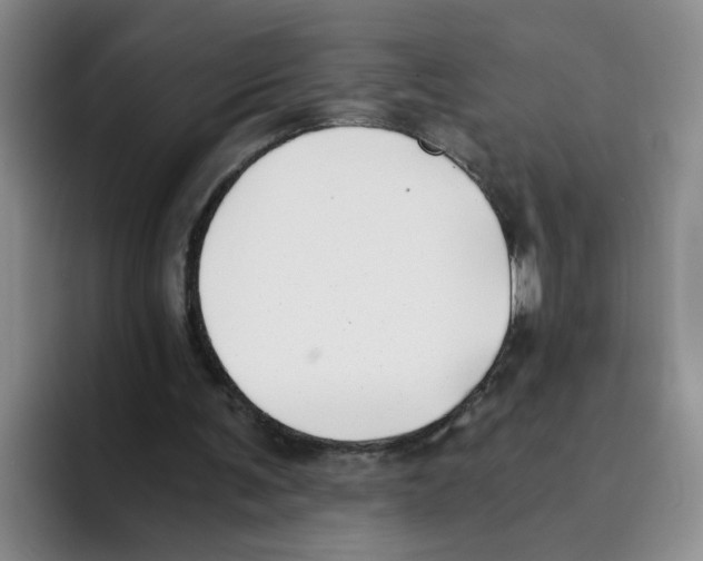 X0000096160291200802151420