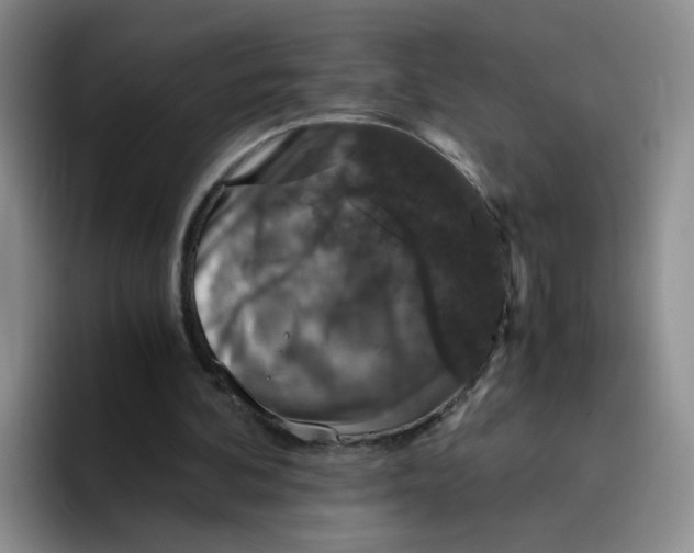 X0000096160292200802151420