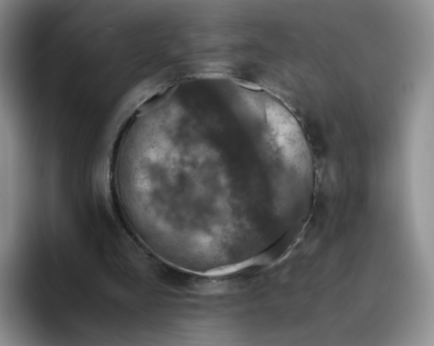 X0000096160293200802151420