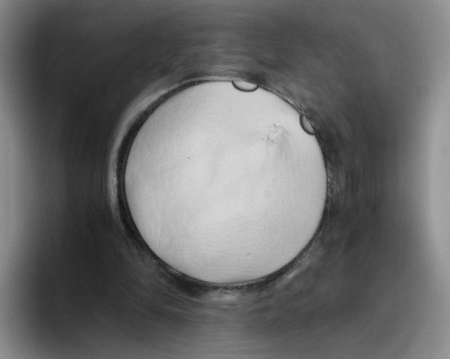 X0000096160294200802151420