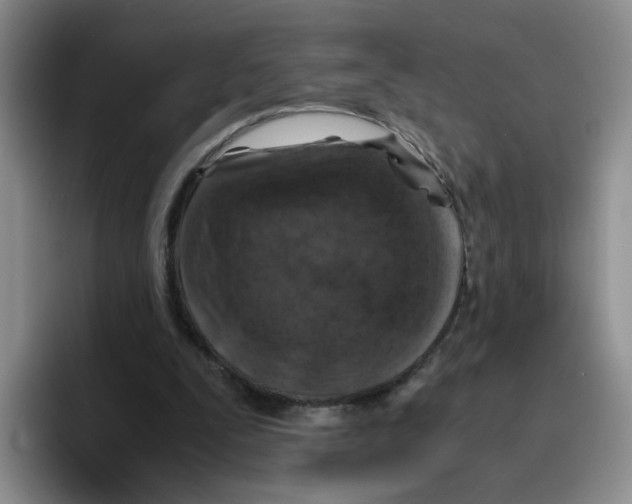 X0000096160295200802151420