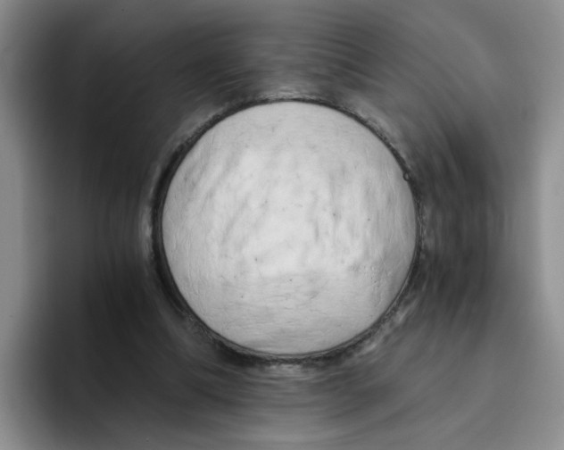 X0000096160298200802151420