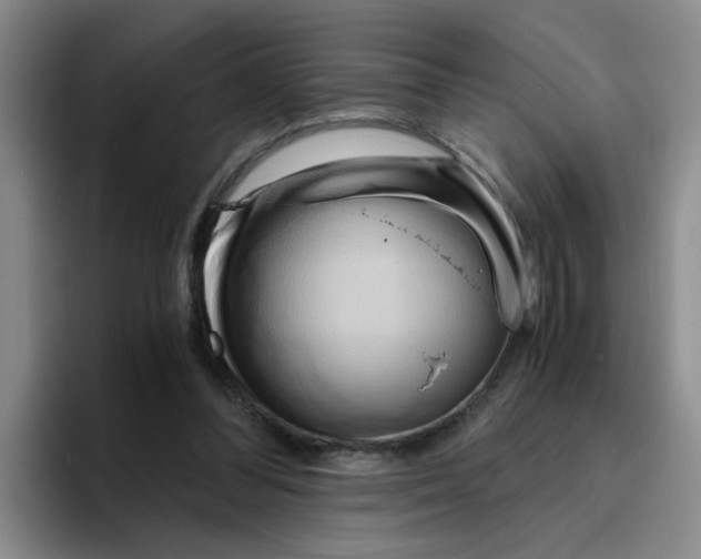 X0000096160300200802151420