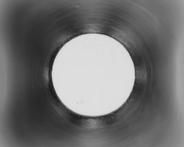 X0000096160302200802151420