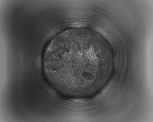 X0000096160303200802151420