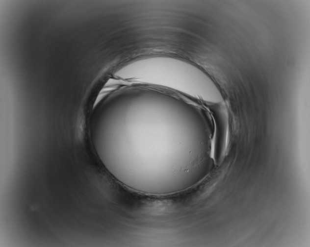 X0000096160304200802151420