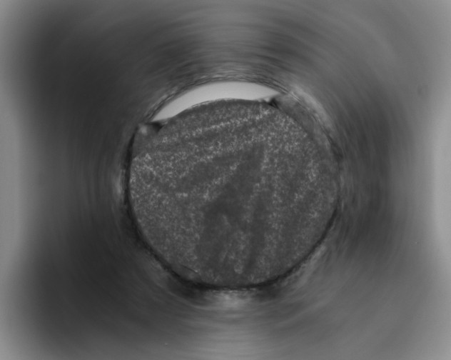 X0000096160305200802151420