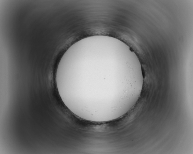 X0000096160306200802151420