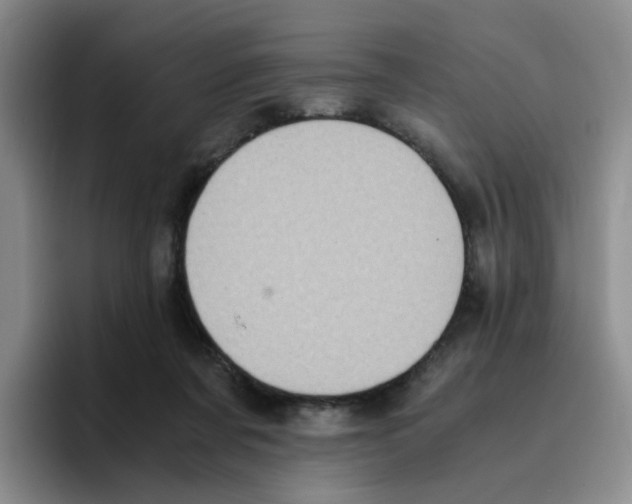 X0000096160311200802151420