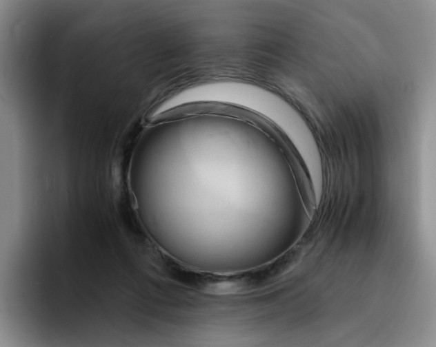 X0000096160312200802151420