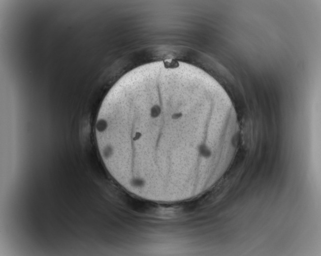 X0000096160314200802151420