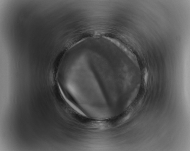 X0000096160316200802151420