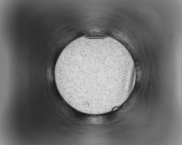 X0000096160317200802151420