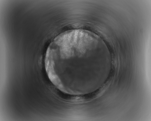 X0000096160319200802151420