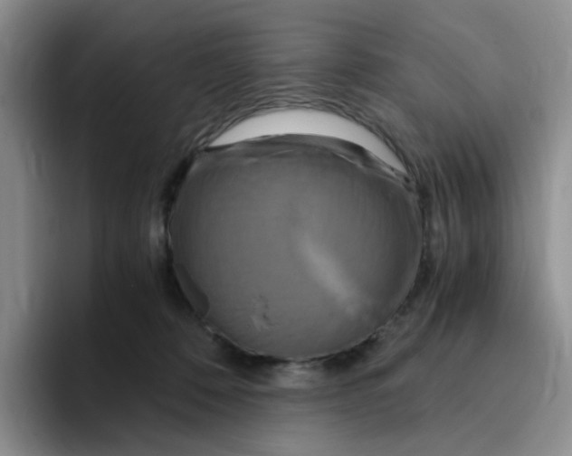 X0000096160320200802151420