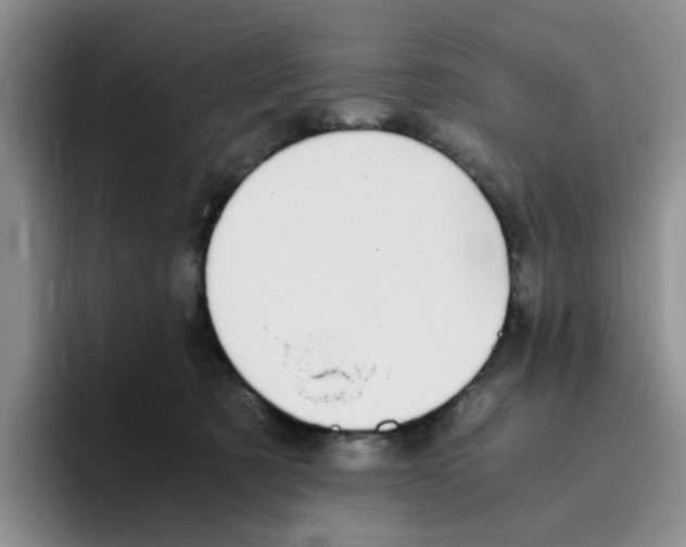 X0000096160321200802151420