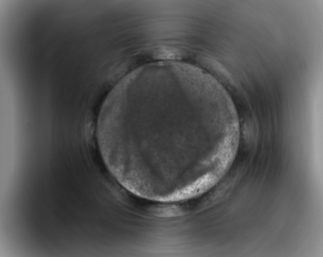 X0000096160322200802151420