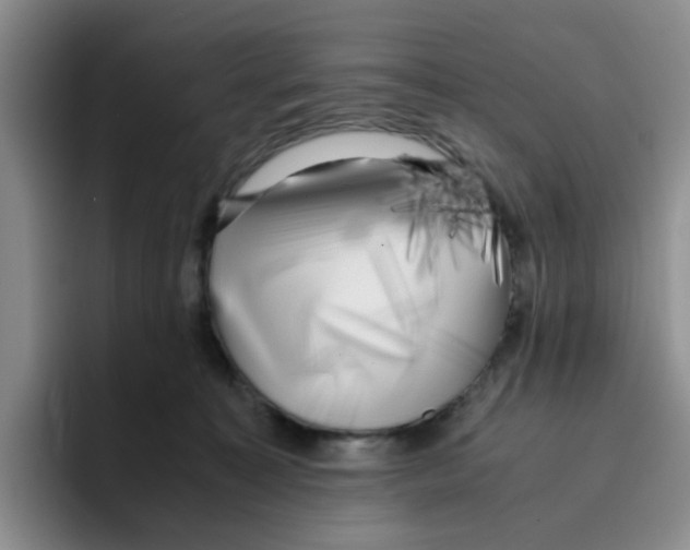 X0000096160323200802151420