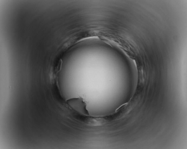 X0000096160324200802151420