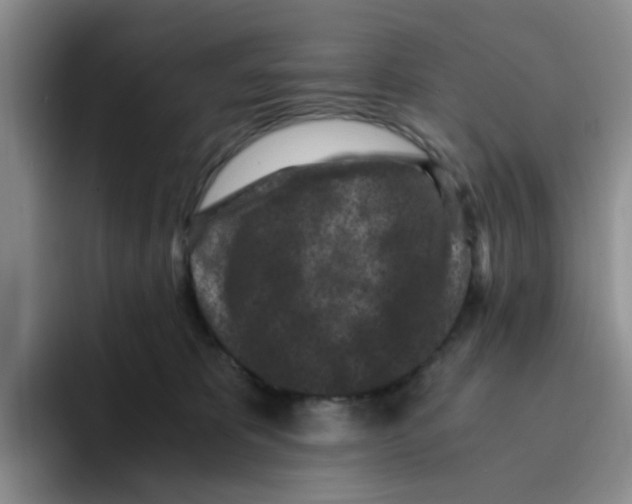 X0000096160325200802151420