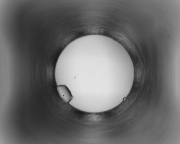 X0000096160326200802151420