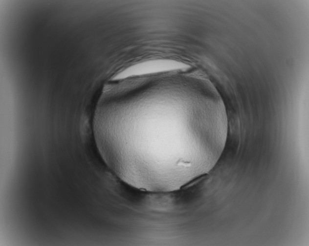 X0000096160327200802151420