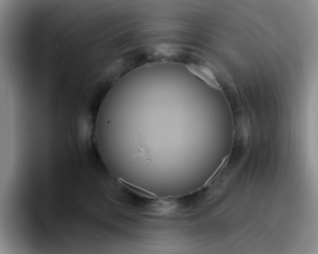 X0000096160328200802151420