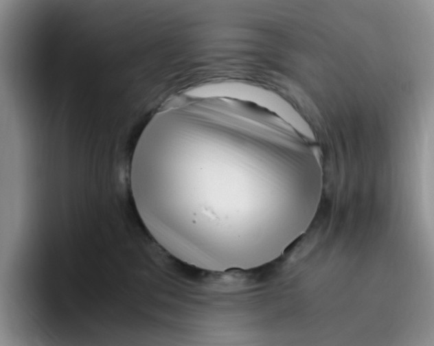 X0000096160329200802151420