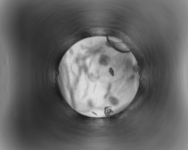 X0000096160330200802151420