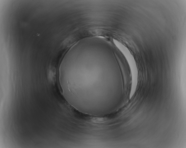 X0000096160332200802151420