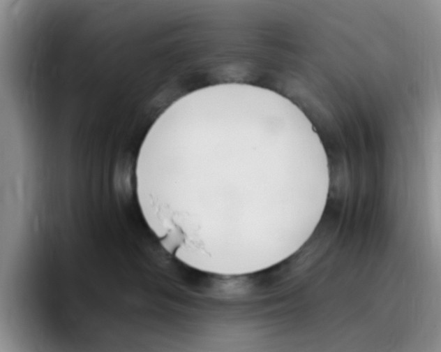 X0000096160334200802151420