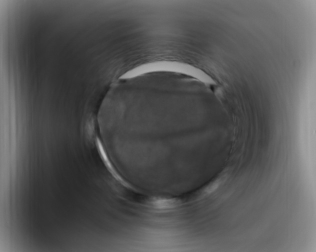 X0000096160336200802151420