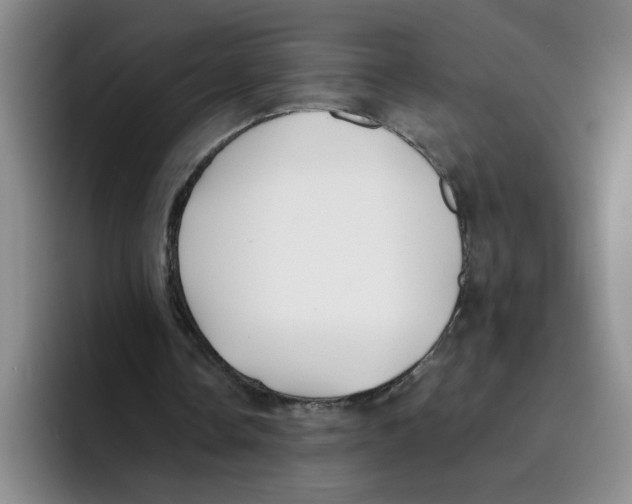 X0000096160338200802151419