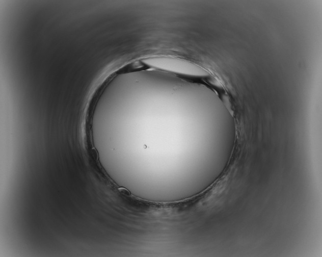 X0000096160340200802151419