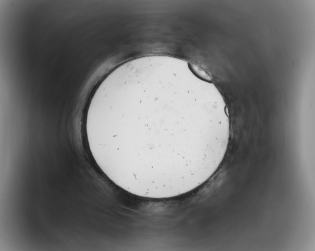 X0000096160341200802151419