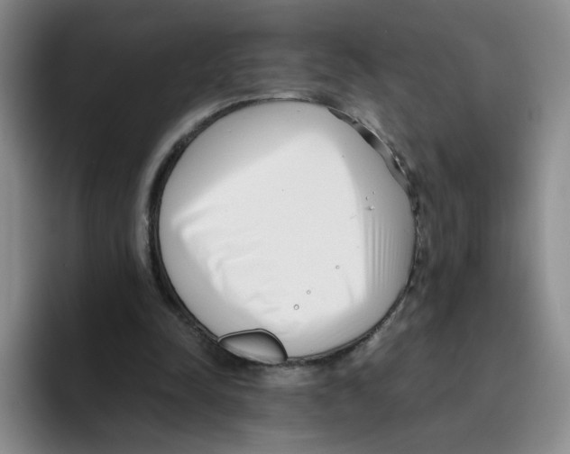 X0000096160342200802151419