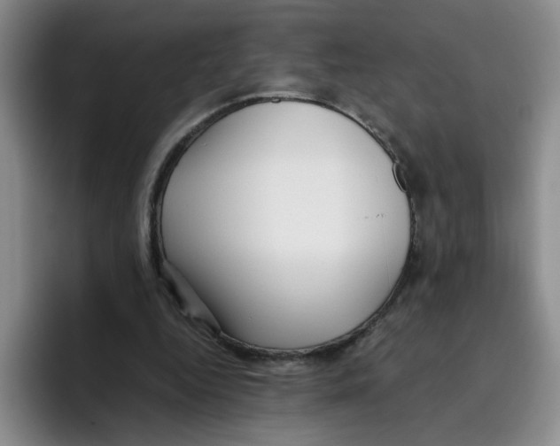 X0000096160344200802151419